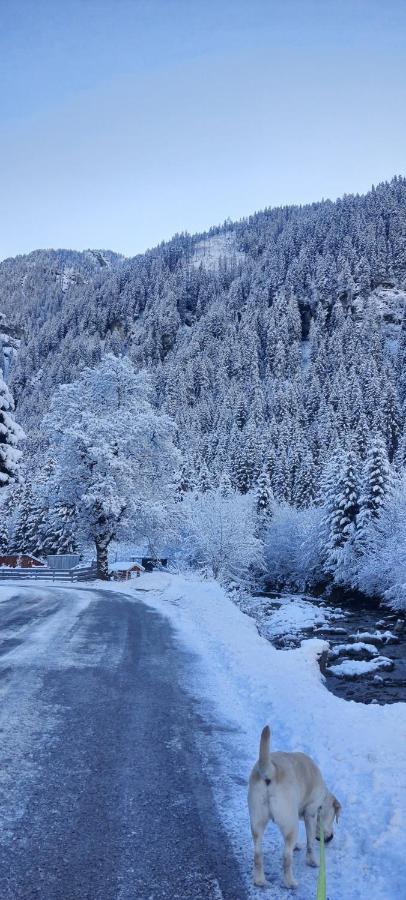 Apartmán Haus Nani Bad Gastein Exteriér fotografie